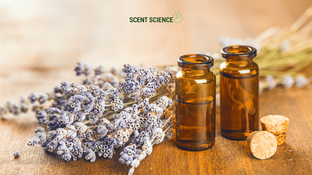 [Mood-Based Fragrance] Is the Future: How Scents Are Getting Emotionally Smarter