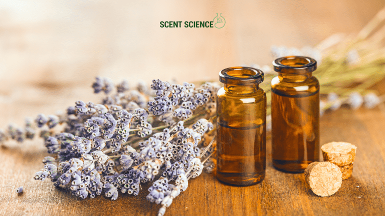 [Mood-Based Fragrance] Is the Future: How Scents Are Getting Emotionally Smarter