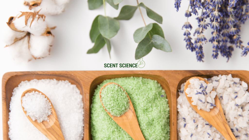 Sleep Scent Science: How Bedtime Fragrances Actually Affect Your Brain and Sleep Quality