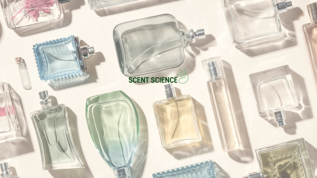 Fragrance Longevity 101: 5 Things That Make Perfume Last (or Disappear Fast)