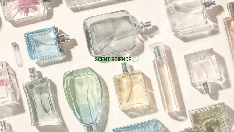 Fragrance Longevity 101: 5 Things That Make Perfume Last (or Disappear Fast)