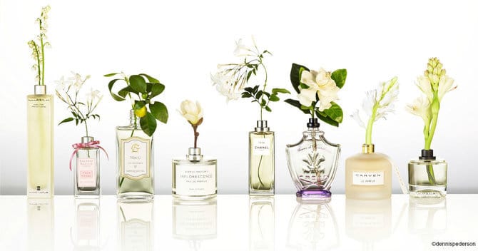 This Is What Your Perfume Really Says About You—Prepare to Be Surprised